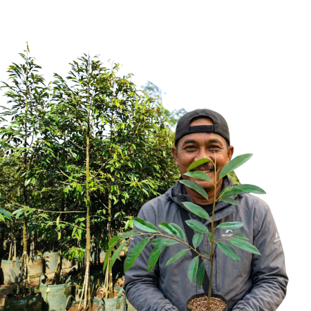 Desain tanpa judul (13)